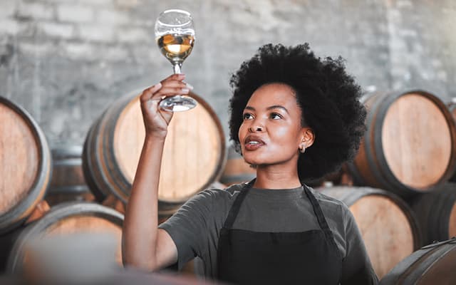 Cover Image for Wine Collecting: A Guide for Young Enthusiasts