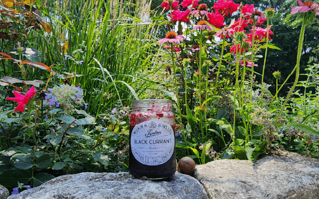 Cover Image for What the Heck are Black Currants